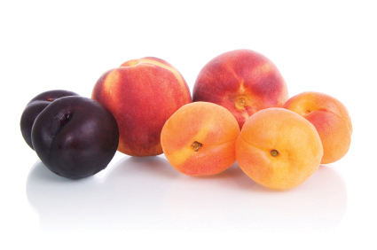 Principales alteraciones de la fruta de hueso en postcosecha | Webinar