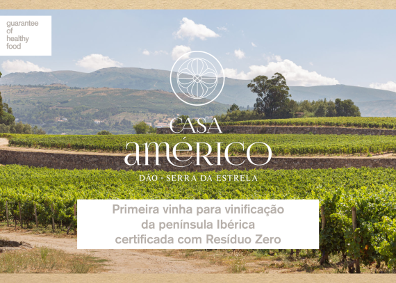 Primer viñedo para vinificación de la península Ibérica certificado Residuo Cero