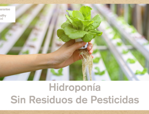 Cultivos en Hidroponía y Sin Residuos de Pesticidas en España.