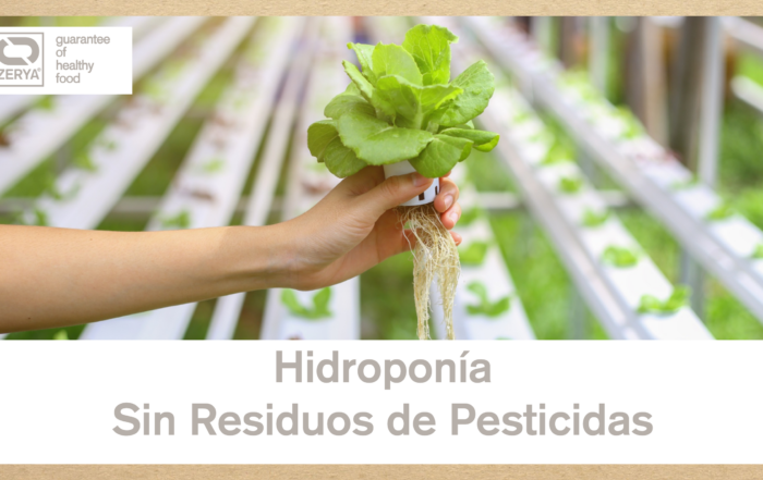 Hidroponía Sin Residuos de Pesticidas - ZERYA