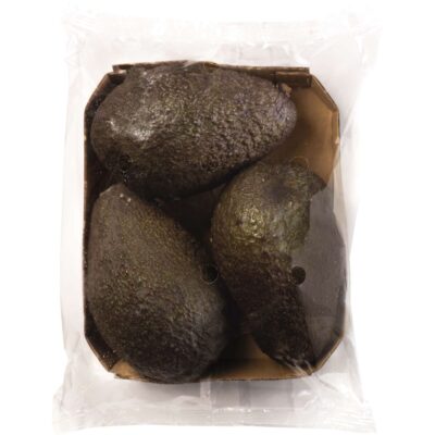 Aguacate continente