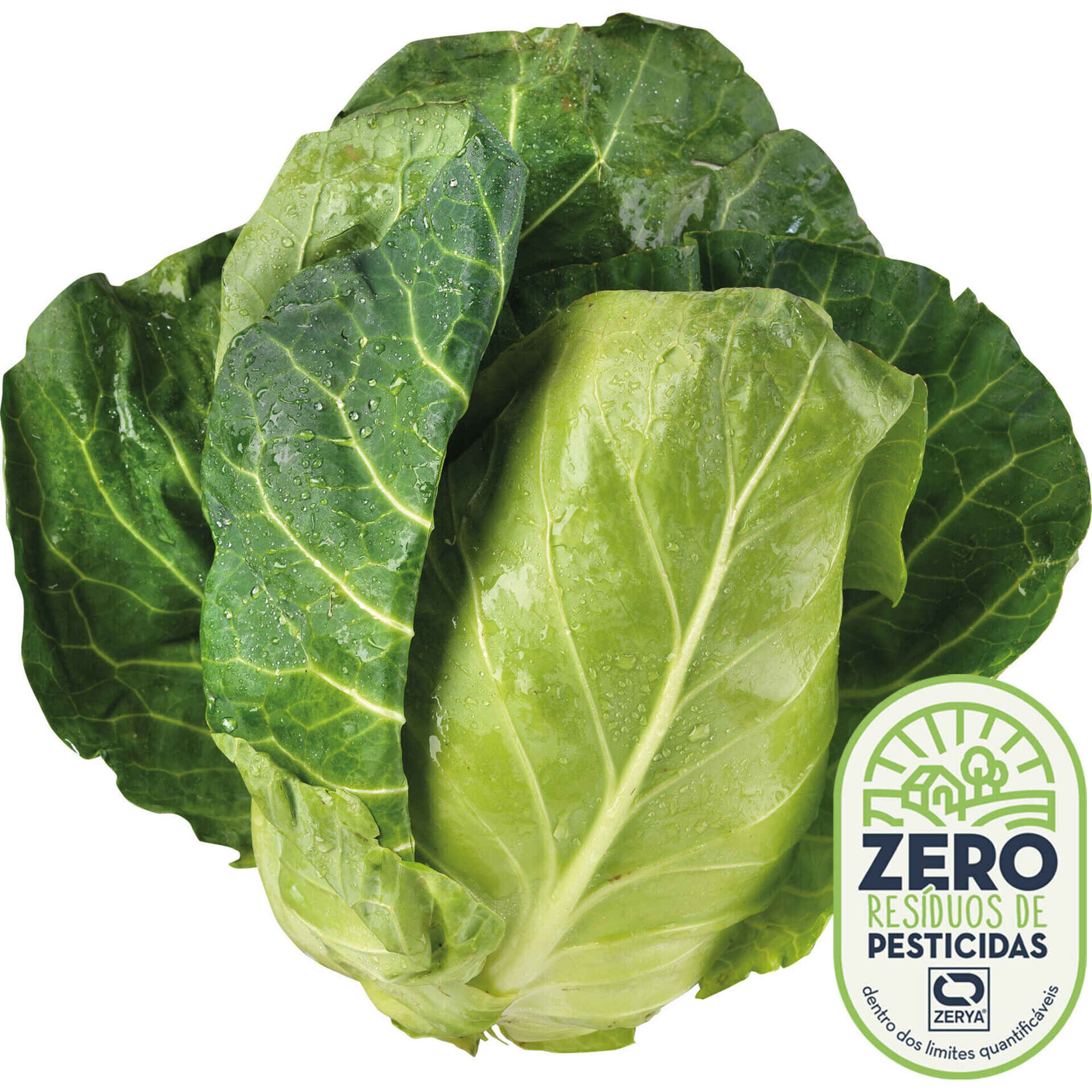 lechuga continente residuo cero