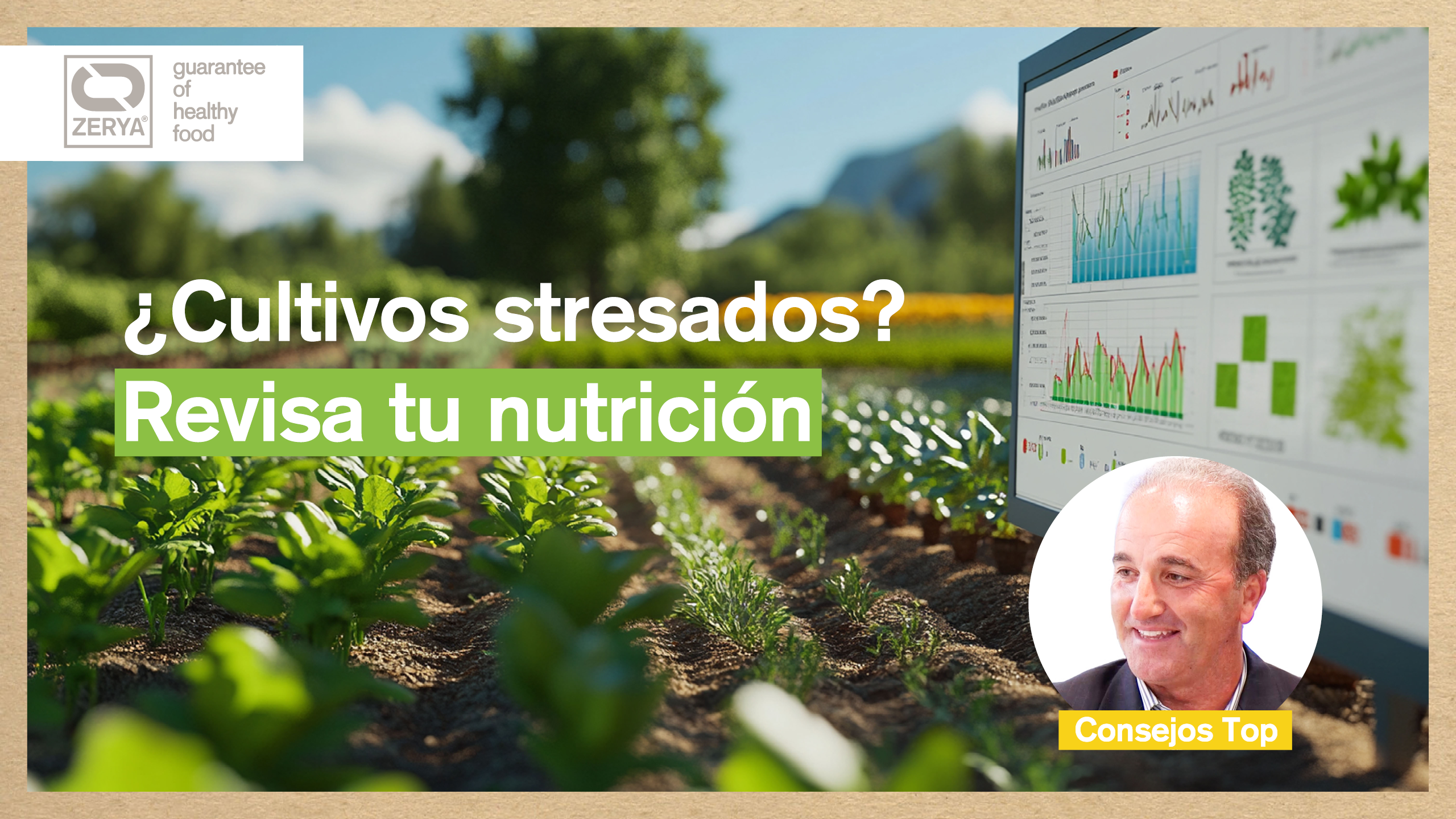Banner Stress – Nutricion Vegetal & Resiliencia ZERYA Avada Car Dealer News