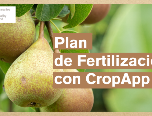 Pera Rocha Sem Resíduos de Pesticidas com CropApp & ZERYA