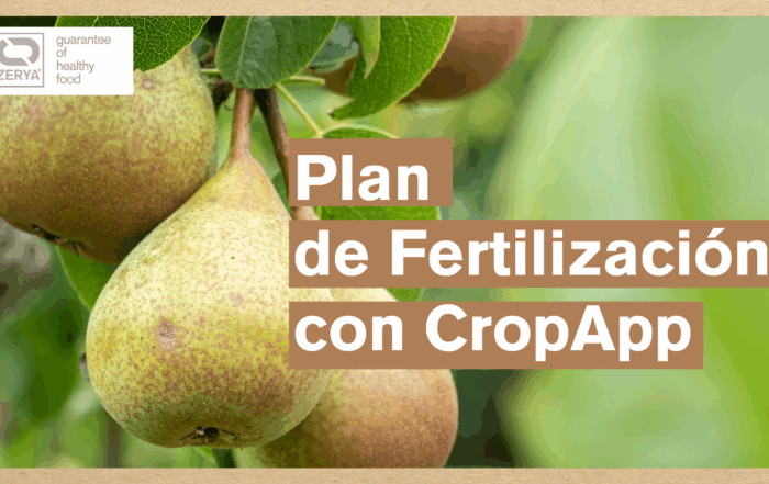 Pera Rocha Residuo Cero ZERYA