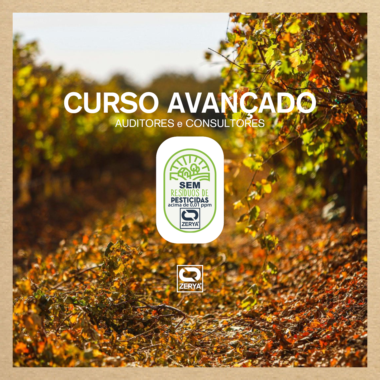 Avada Car Dealer News