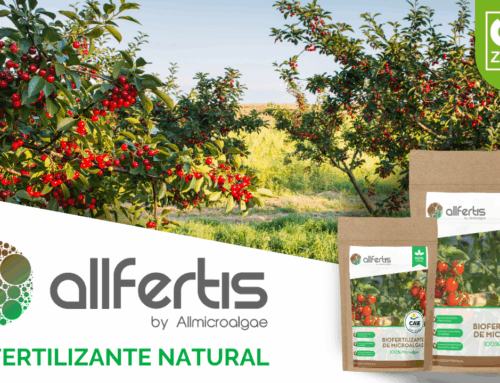 ZERYA® reconoce a ALLFERTIS® como bioestimulante sin residuos: microalgas que aumentan la productividad de la cereza en un +7%.