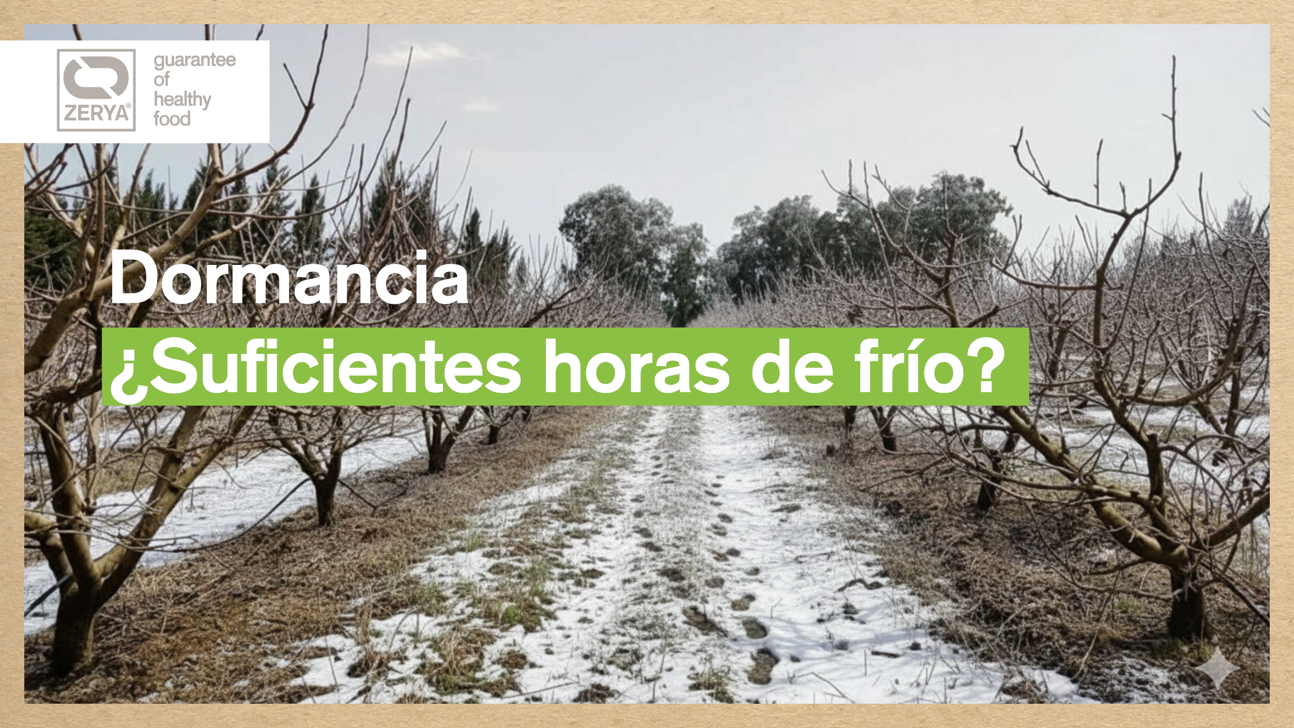 Avada Car Dealer News