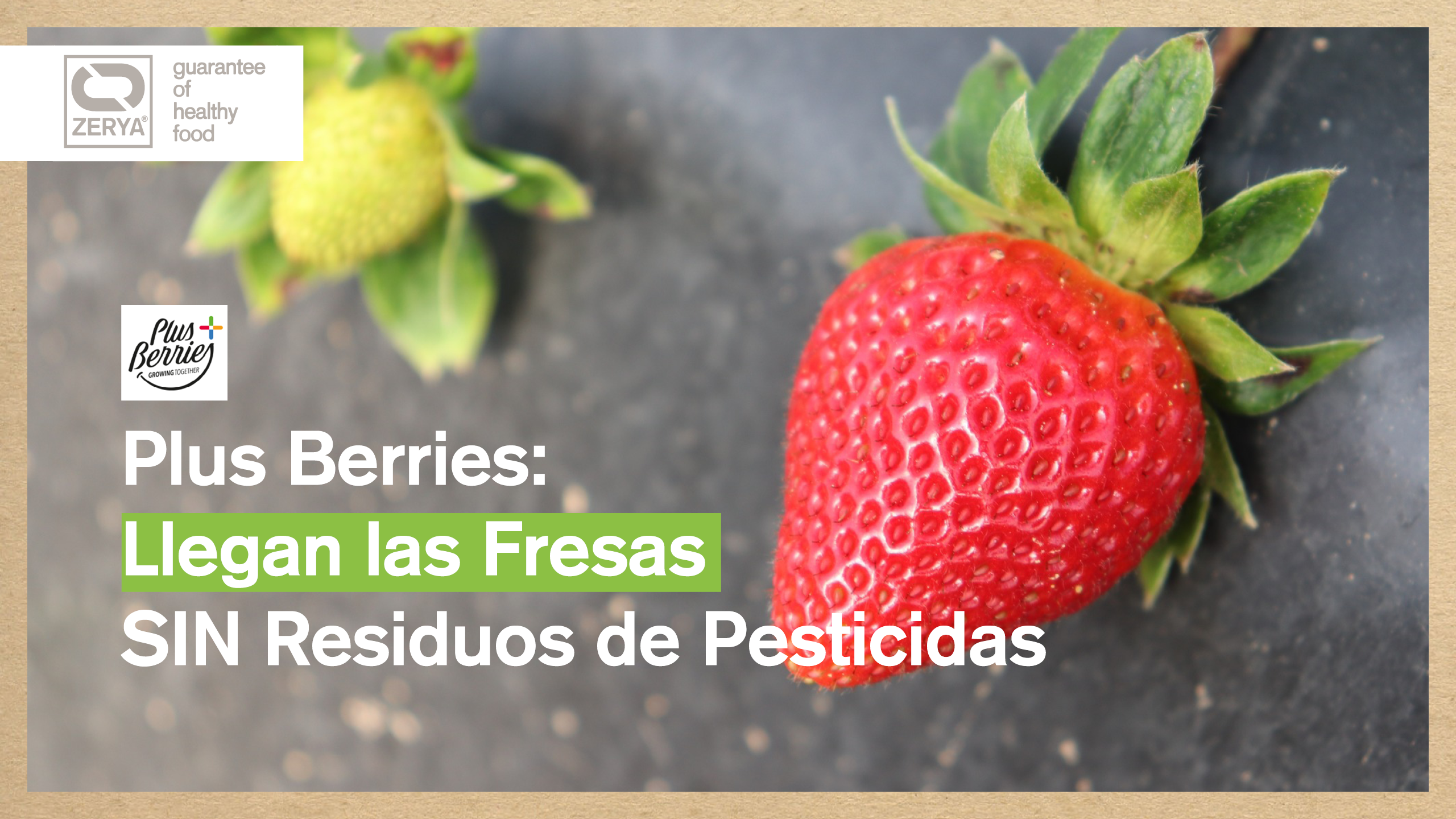 Avada Car Dealer News