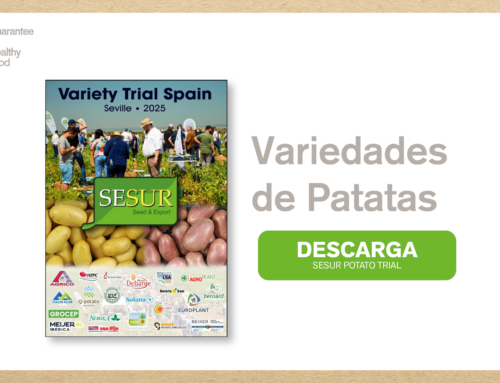 El Potato Trial de SESUR te ayuda a conseguir patatas SIN Residuos de Pesticidas