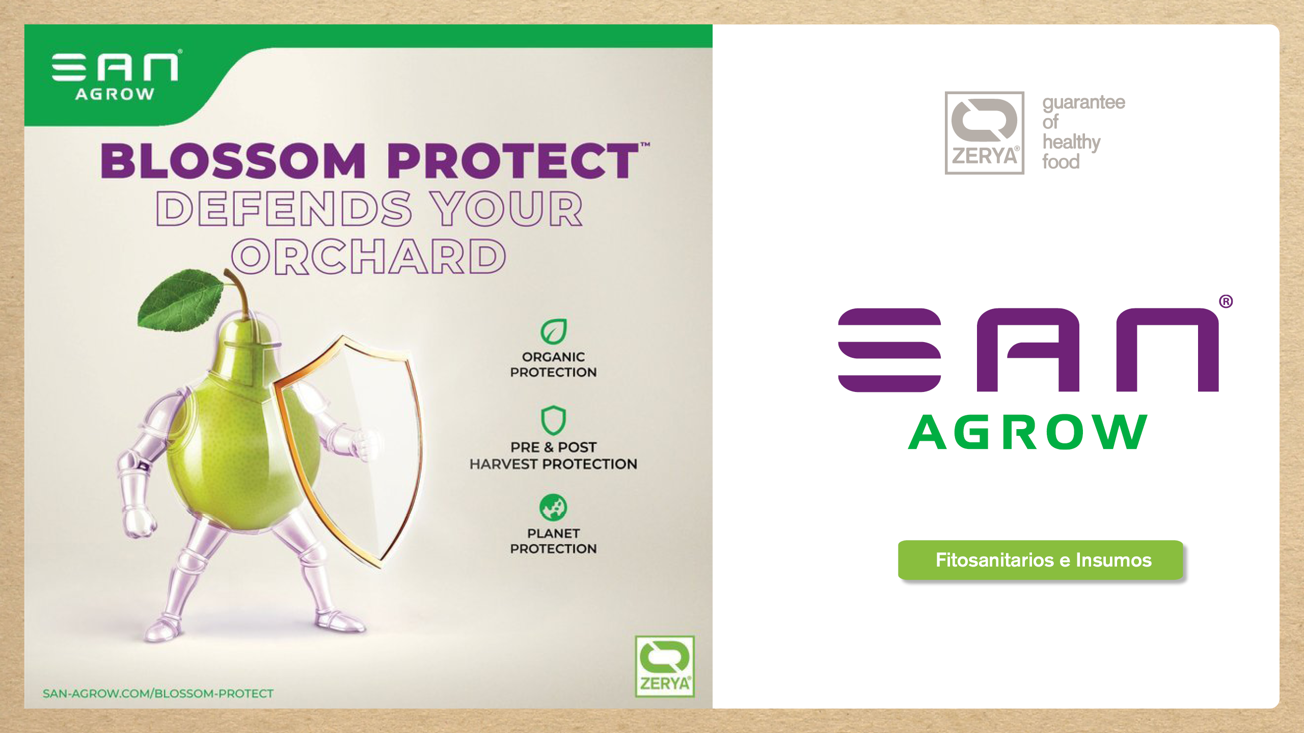 Avada Car Dealer News