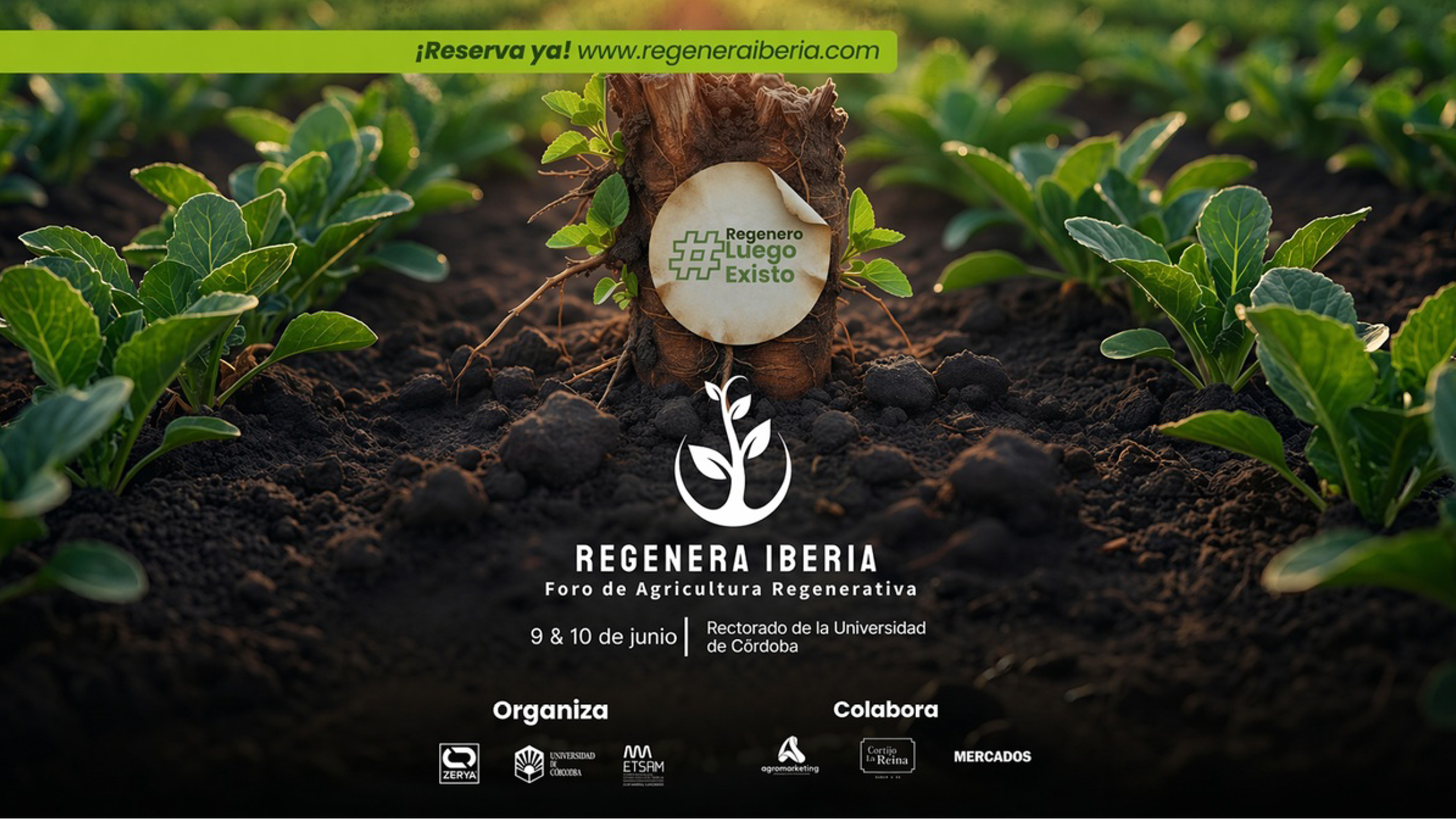 Avada Car Dealer News