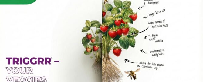 TRIGGRR - SAN AGROW - ZERYA