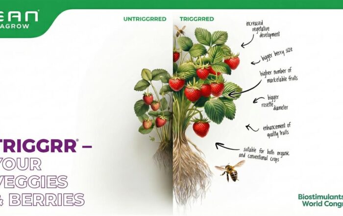 TRIGGRR - SAN AGROW - ZERYA